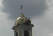 Щъркелът дойде