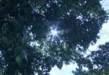 Опасно горещо време!