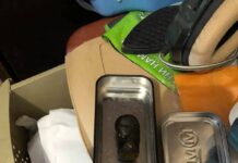 Марихуана, амфетамин и синтетична дрога, иззеха при проверки служители на Трето РУ в Пловдив