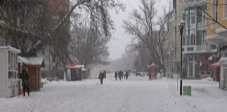 МВР : Основни правила на действие при зимни условия