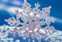 Днес имен ден празнуват много българки със снежни имена