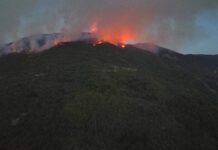 Асеновградчанин с призив да спасим от пламъците горящата гора край Югово