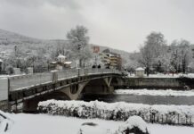 Над 80 см. е снежната покривка във високите части на община Асеновград, две села са без ток
