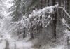 Първи сняг на Петковден