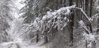 Първи сняг на Петковден
