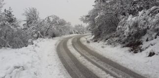 Снежната покривка във високите части в асеновградско достигна 20 см.