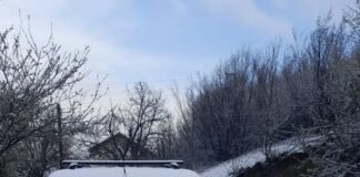 Сняг през април в асеновградско