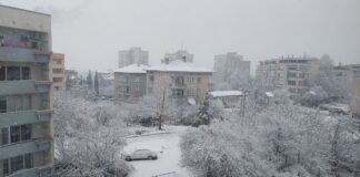 Пътищата в община Асеновград се чистят