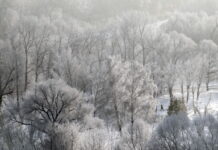 30 см сняг по високите места в община Асеновград