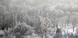 30 см сняг по високите места в община Асеновград