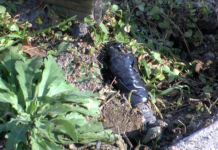 Граждански сигнал за опасен кабел до спирка в Асеновград