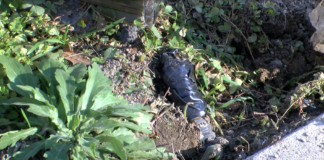 Граждански сигнал за опасен кабел до спирка в Асеновград