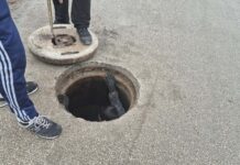 История с щастлив край: Спасиха куче, паднало в улична шахта в Асеновград