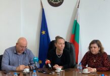 Установиха причината за замърсяването на реките Юговска и Чепеларска