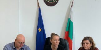 Установиха причината за замърсяването на реките Юговска и Чепеларска