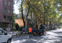 Започна пребоядисването на стълбовете в Асеновград