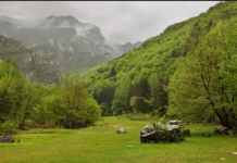 „Червената стена“ вече е сред одобрените четири български резервата от ЮНЕСКО