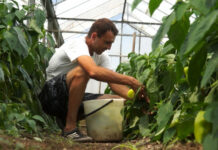 Българските земеделски производители до края на годината ще получат до 1 млрд. лв.