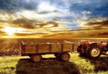 3 млн. лева за защитени видове