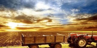 3 млн. лева за защитени видове