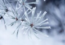 Опасно студено време утре – температурите в Асеновград падат 10°C под нулата