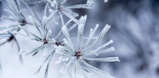 Опасно студено време утре – температурите в Асеновград падат 10°C под нулата