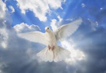 Днес християните отдават почит на Светия Дух