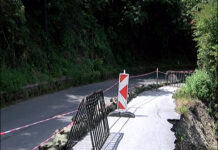 Временна организация на движението по пътя Асеновград – Лясково в началото на следващата седмица