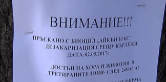 Общо 223 дка паркове и зелени зони се третират срещу кърлежи в Асеновград