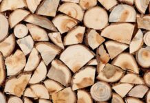 Установиха трима извършители на кражба на дървесина