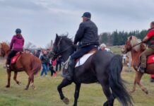На Тодоровден ще се проведат традиционните кушии в местност „Параколово“