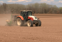 Интерес към закупуване на зърно от България проявяват редица държави