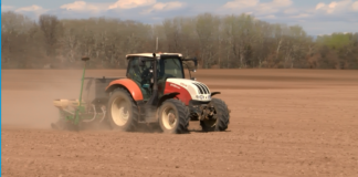 Интерес към закупуване на зърно от България проявяват редица държави