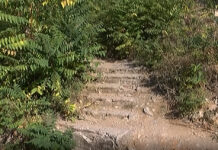 Обрасла в треви и храсти пътека стряска зад ОУ „Отец Паисий“