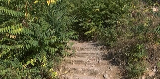 Обрасла в треви и храсти пътека стряска зад ОУ „Отец Паисий“