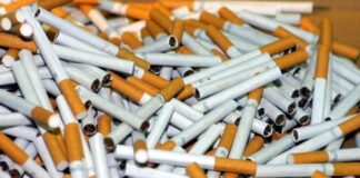 Над 22 хил. къса контрабандни цигари иззеха полицаи от Трето РУ – Пловдив