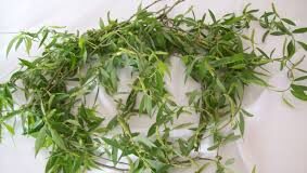 Цветница е, занесете в дома си върбово клонче