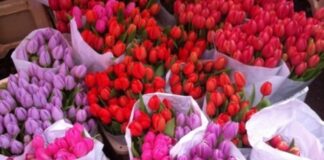 Цветен базар на пазара в Асеновград