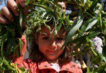 В неделя е Цветница