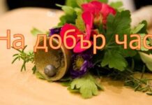 Броени часове до началото на новата учебна година