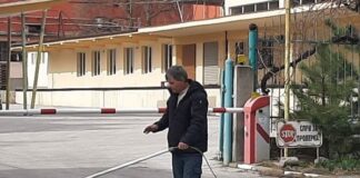 Преброяват бездомните кучета в Община Асеновград