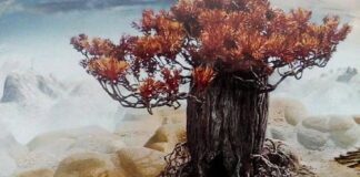 Авторите на филма „Зоотроп” пристигат в родния Асеновград