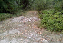 Рекорден брой наказателни постановления издаде РИОСВ Пловдив през изминалия месец