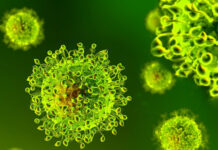 1 426 нови случая на коронавирусна инфекция са потвърдени в България през изминалите 24 часа