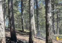 Пожарът край с. Добростан е ограничен, но не е потушен