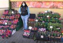 Пазари и цветни борси от днес отново отварят врати