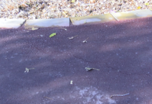 Гаранционен срок