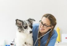 На 14 декември празнуват своя професионален празник всички ветеринари