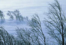 Какво да правим при снегонавявания, силен вятър и смерч съветват от МВР