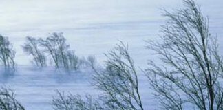 Какво да правим при снегонавявания, силен вятър и смерч съветват от МВР